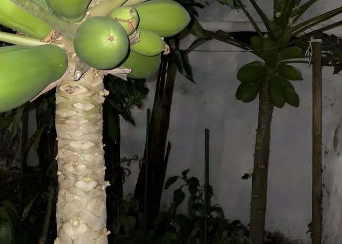 Chousa Vakantiehuis El Sauzal